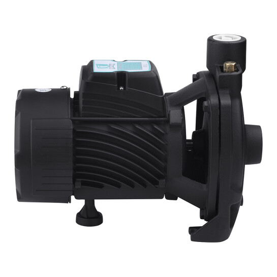 Додаткове фото - Насос поверхневий поливальний Pumpman TCP158 Нmax 33м Qmax 6куб.м 1"х1" 750 Вт (чавун/алюміній)