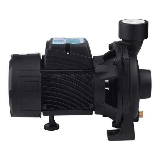 Додаткове фото - Насос поверхневий поливальний Pumpman TGA1A Нmax 18 м Qmax 16 куб.м 1 1/2"х1 1/2" 750 Вт