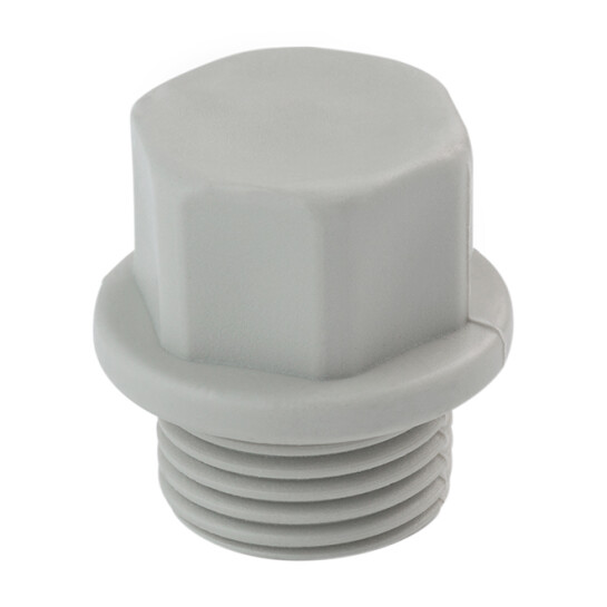 Головне фото - Заглушка пластикова PPR Rozma 1/2" РЗ без ущільнення