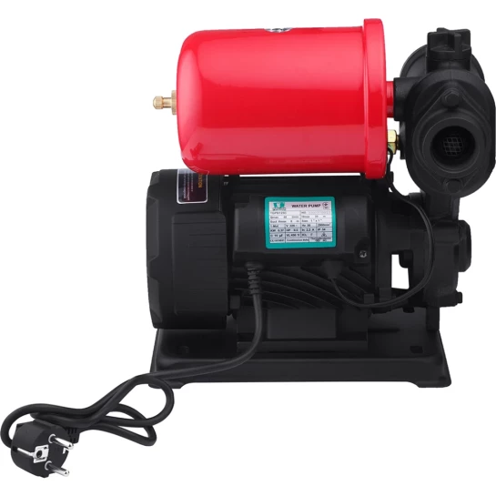 Додаткове фото - Насосна станція Pumpman TGPB125C Нmax 35 м Qmax 2,4 куб.м 370 Вт бак 2 л